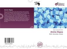 Anicla illapsa的封面