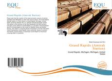 Grand Rapids (Amtrak Station)的封面