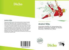 Copertina di Andrei Niţu