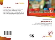 Capa do livro de Julius Marmur 