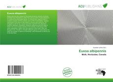 Bookcover of Euxoa albipennis