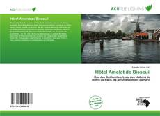 Bookcover of Hôtel Amelot de Bisseuil