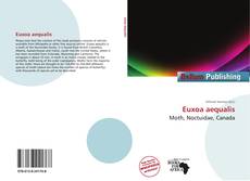 Copertina di Euxoa aequalis