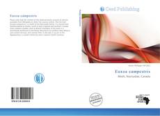 Euxoa campestris的封面