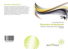 Monastère de Maulbronn kitap kapağı