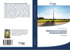 Portada del libro de Efektywność inwestycji energooszczędnych