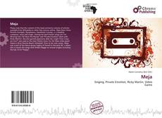 Couverture de Meja