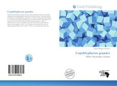 Buchcover von Copablepharon grandis