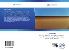 Capa do livro de Dolo Odo 