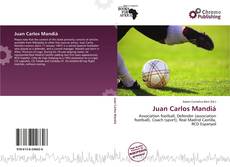 Juan Carlos Mandiá的封面