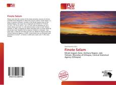 Buchcover von Finote Selam