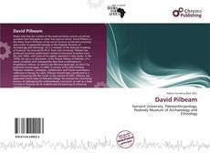 Portada del libro de David Pilbeam