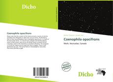 Buchcover von Coenophila opacifrons