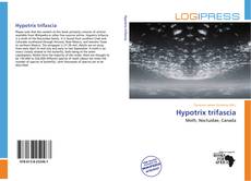 Couverture de Hypotrix trifascia