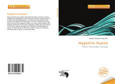 Bookcover of Hypotrix hueco