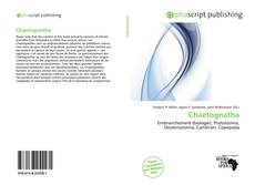 Bookcover of Chaetognatha