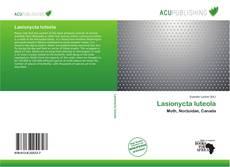 Lasionycta luteola的封面