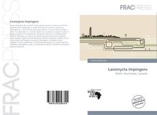 Copertina di Lasionycta impingens