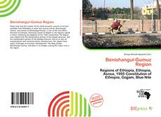 Copertina di Benishangul-Gumuz Region