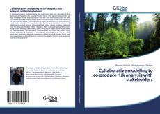 Buchcover von Collaborative modeling to co-produce risk analysis with stakeholders