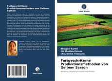 Buchcover von Fortgeschrittene Produktionsmethoden von Gelbem Sarson