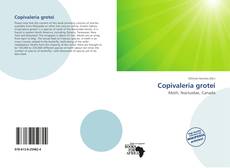 Copertina di Copivaleria grotei