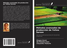 Bookcover of Métodos avanzados de producción de Yellow Sarson