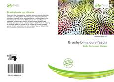Borítókép a  Brachylomia curvifascia - hoz