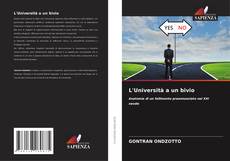 L'Università a un bivio kitap kapağı