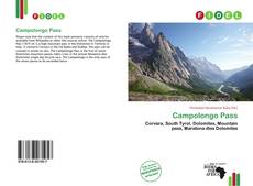 Borítókép a  Campolongo Pass - hoz