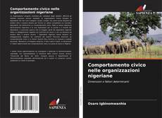 Buchcover von Comportamento civico nelle organizzazioni nigeriane