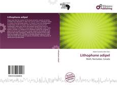 Capa do livro de Lithophane adipel 