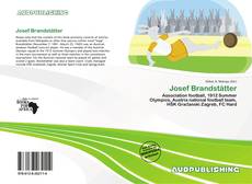 Portada del libro de Josef Brandstätter