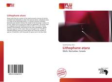 Couverture de Lithophane atara