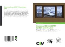 Chestnut Street (BMT Fulton Street Line)的封面