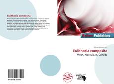 Buchcover von Eulithosia composita