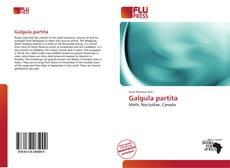 Buchcover von Galgula partita