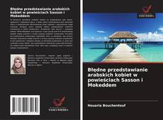 Copertina di Błędne przedstawianie arabskich kobiet w powieściach Sasson i Mokeddem