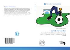 Capa do livro de David Fernández 