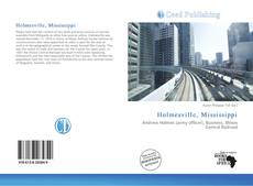 Capa do livro de Holmesville, Mississippi 