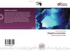 Capa do livro de Elaphria versicolor 