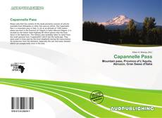 Portada del libro de Capannelle Pass