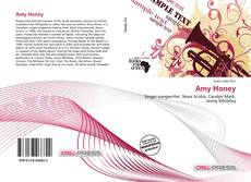 Capa do livro de Amy Honey 