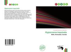 Borítókép a  Hypocoena inquinata - hoz