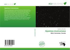 Apamea niveivenosa的封面