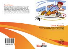 Bookcover of David Karako