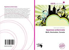 Couverture de Apamea antennata