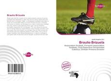 Bookcover of Braulio Brizuela