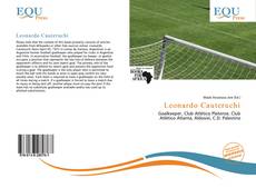 Leonardo Cauteruchi的封面