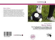 Capa do livro de Mario Núñez 